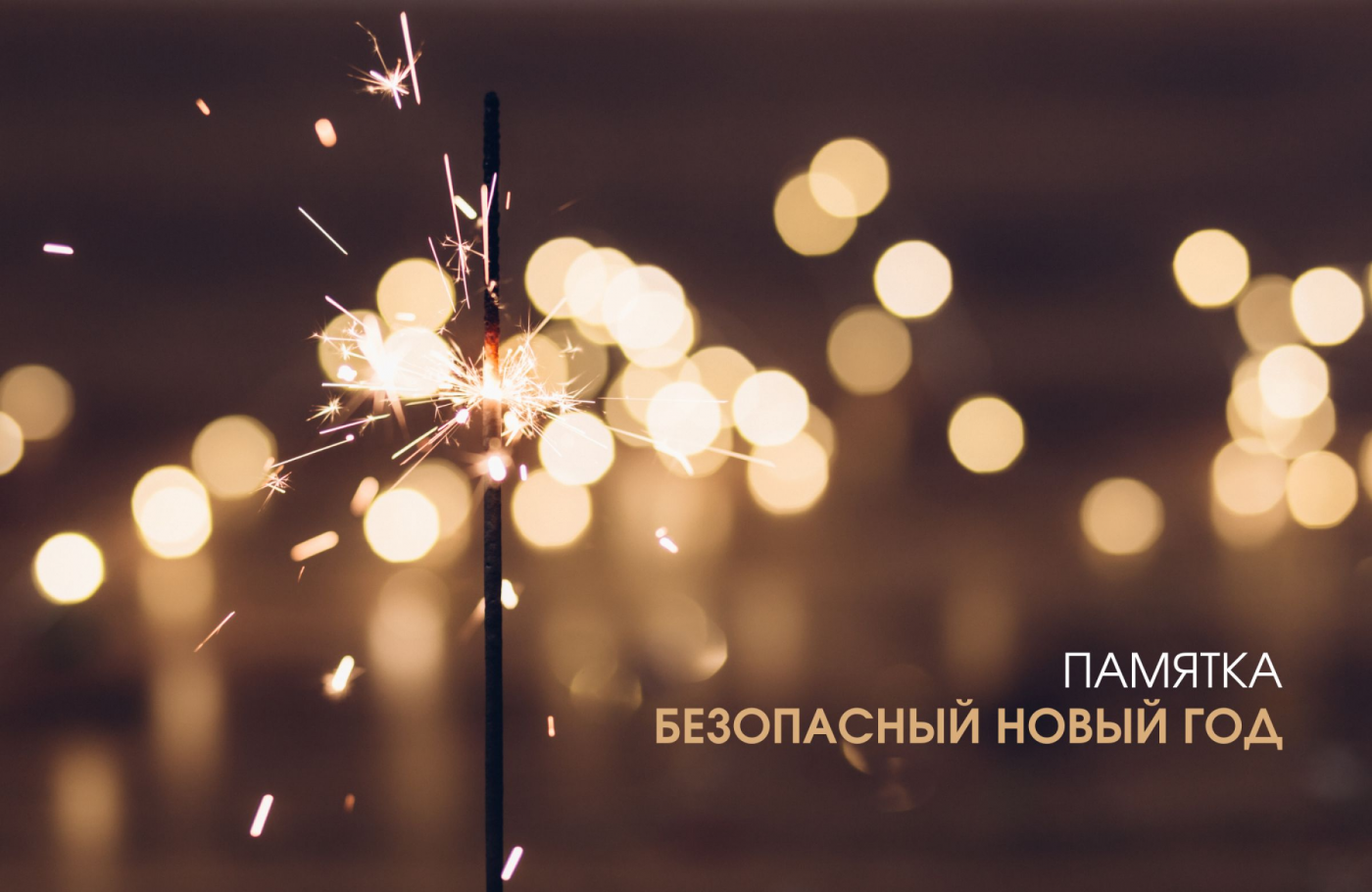 Профилактика с БНТУ: памятка «Безопасный Новый год»